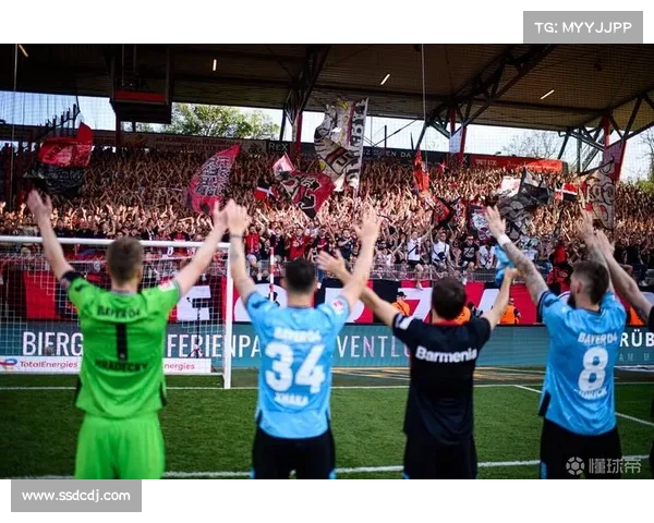 德甲联赛精彩对决全程网络直播尽享足球盛宴 德甲联赛精彩对决全程网络直播尽享足球盛宴