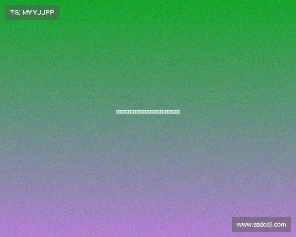 费利佩莱昂纳多双双迎来个人中超百场里程碑共谱辉煌篇章